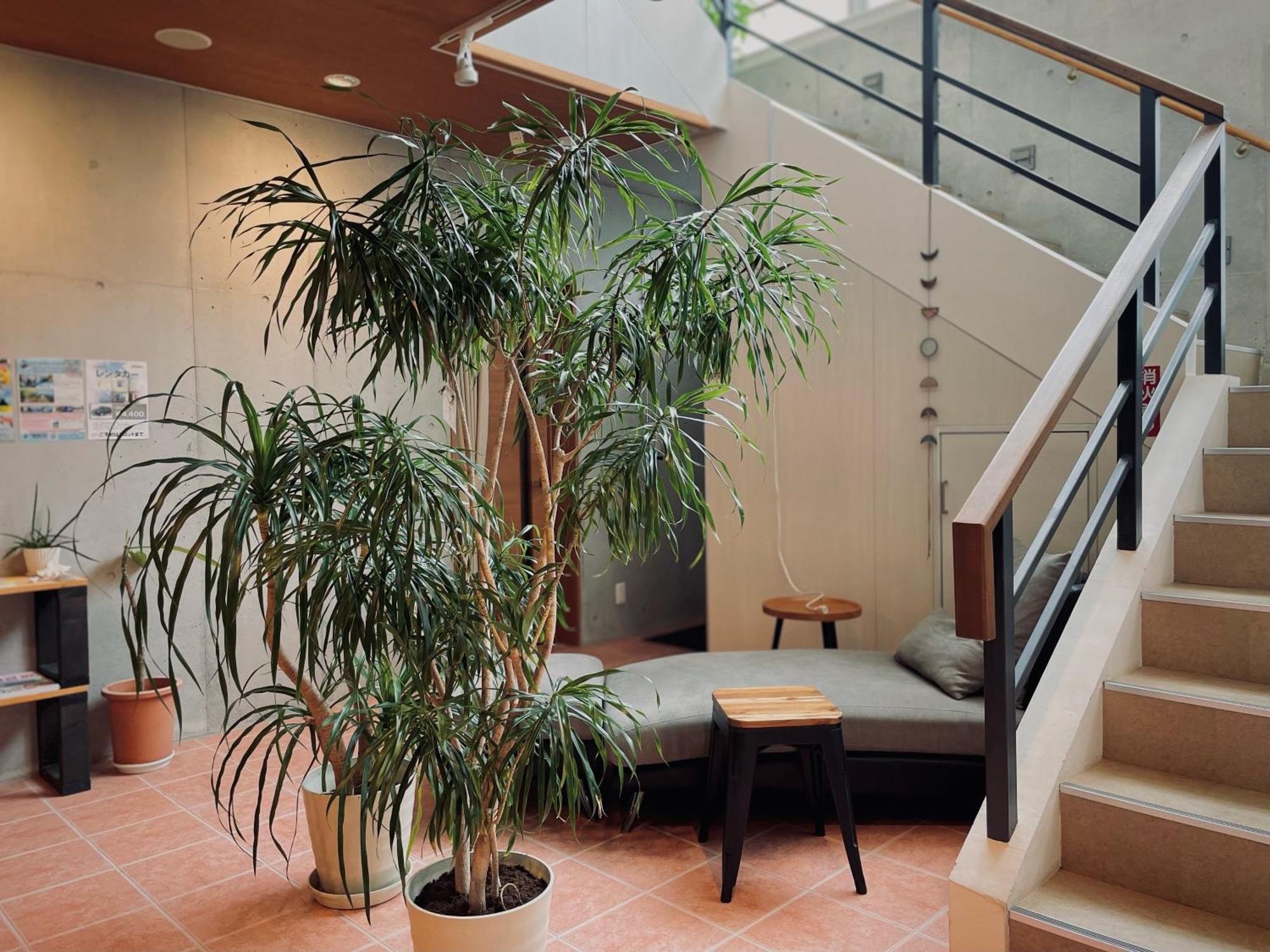 Hostel Sunterrace Ishigaki Ishigaki  Экстерьер фото